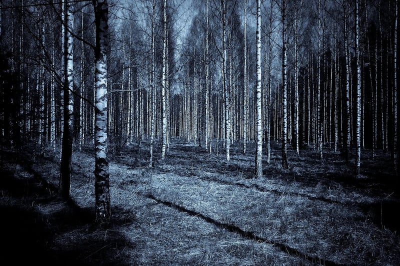Forest Elegance