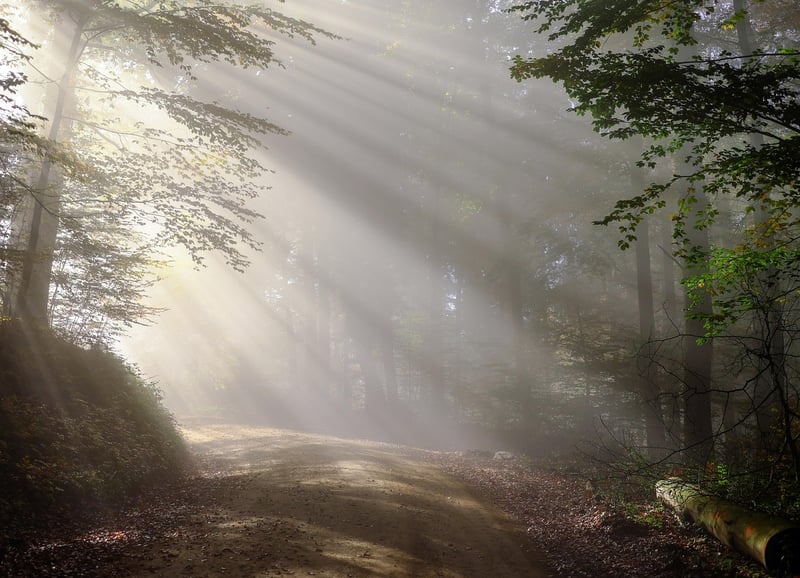 Black Forest, Germany