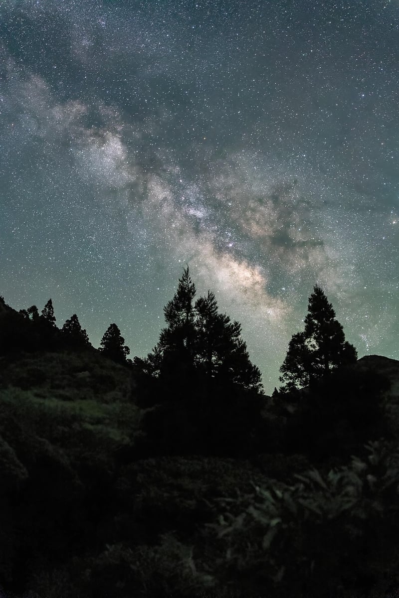 Enchanting Night Sky